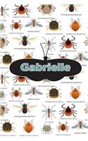 Gabrielle: Insect Themed Comprehensive Garden Notebook with Garden Record Diary, Garden Plan Worksheet, Monthly or Seasonal Planting Planner, Expenses, Chore L