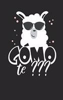 Como te: Lined Journal Lined Notebook 6x9 110 Pages Ruled