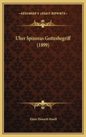 Uber Spinozas Gottesbegriff (1899)