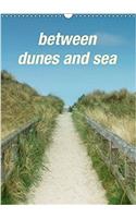 Between Dunes and Sea 2017