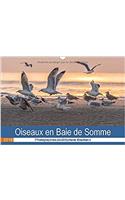 Oiseaux en Baie de Somme 2018