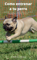 Como entrenar a tu perro Entrenar a tu perro nunca había sido tan fácil en este libro te damos las bases
