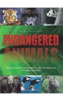 Endangered Animals