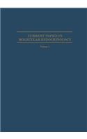 Hormone Binding and Target Cell Activation in the Testis
