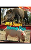 Wild Boars and Teacup Pigs