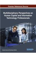 Multidisciplinary Perspectives on Human Capital and Information Technology Professionals