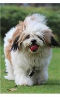 The Lhasa Apso Dog Journal: 150 page lined notebook/diary