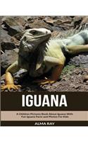 Iguana