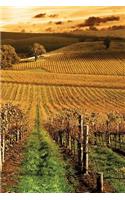 Autumn Vineyard Notebook