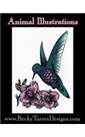 Animal Illustrations