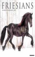 Friesians 2023 Wall Calendar