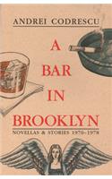 A Bar in Brooklyn: Novellas & Stories, 1970-1978