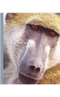 Baboons