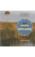 24 Hours in the Wetlands