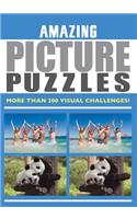 Amazing Picture Puzzles