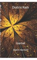 Diatrix Ram: Journal