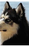 Husky Notebook