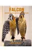 Falcon