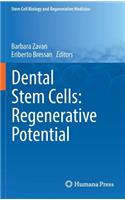 Dental Stem Cells: Regenerative Potential