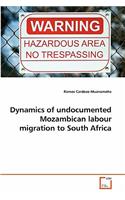 Dynamics of undocumented Mozambican labour migration to South Africa: (German)