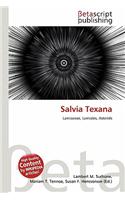 Salvia Texana: (English)