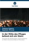 In der Mitte des Pfluges befand sich ein Stein