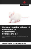 Neuroprotective effects of Edaravone in experimental hydrocephalus