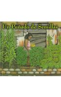 Un Punado de Semillas