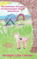 Ladybug's Secret Adventure: (2 The Saltwater Ponygirl of Chincoteague Island, Adventures)