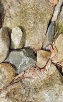 School Composition Book Different Size Rocks