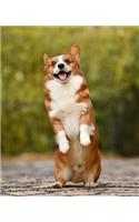 CORGI Composition Notebook