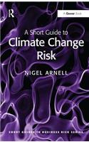 A Short Guide to Climate Change Risk