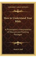 How to Understand Your Bible: A Philosopher's Interpretation of Obscure and Puzzling Passages