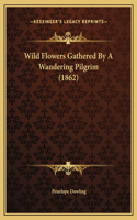 Wild Flowers Gathered By A Wandering Pilgrim (1862)