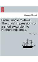 From Jungle to Java. the Trivial Impressions of a Short Excursion to Netherlands India.