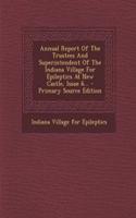 Annual Report of the Trustees and Superintendent of the Indiana Village for Epileptics at New Castle, Issue 6... - Primary Source Edition