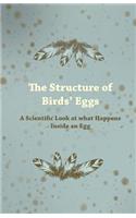 Structure of Birds' Eggs - A Scientific Look at what Happens Inside an Egg