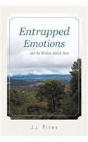 Entrapped Emotions ...and the Wisdom behind them