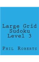 Large Grid Sudoku Level 3: Easy to Medium Sudoku Puzzles