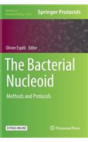 Bacterial Nucleoid