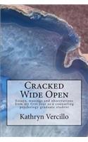 Cracked Wide Open