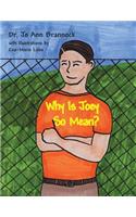 Why Is Joey So Mean?: (English)