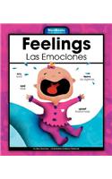 Feelings/Las Emociones