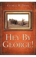 Hey by George!