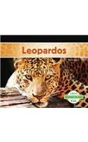 Leopardos (Leopards)