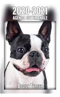 2020-2021 Agenda Settimanale Boston Terrier