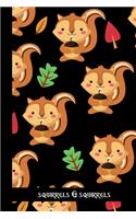 Squirrels & Squirrels