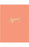 Agenda 2019: Semanal Diario Organizador Calendario - Melocot