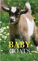 Baby Goats Monthly Note Planner 2019 1 Year Calendar