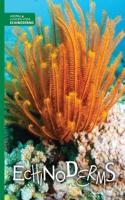 Echinoderms: (Animal Classification)